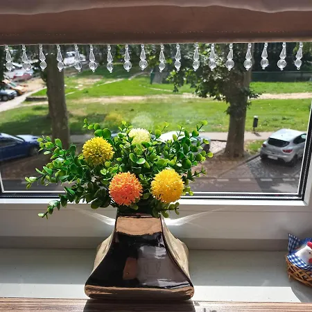 公寓 B & S - Free Garage Parking