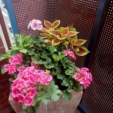 B & S - Free Garage Parking 公寓 *