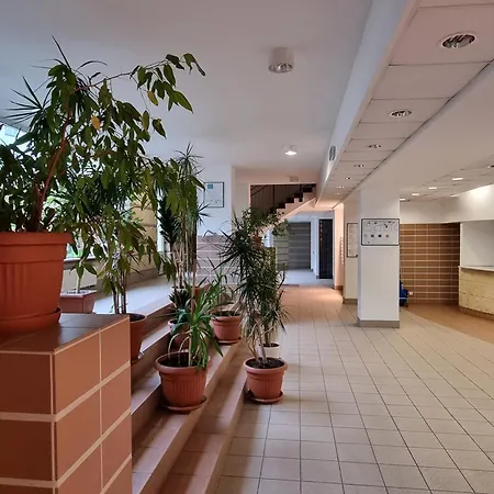 B & S - Free Garage Parking 公寓 *