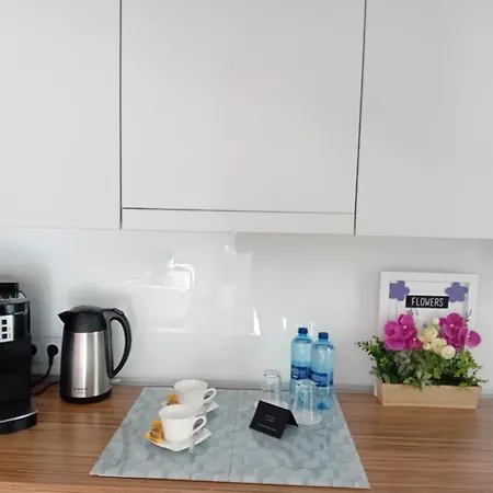 公寓 B & S - Free Garage Parking