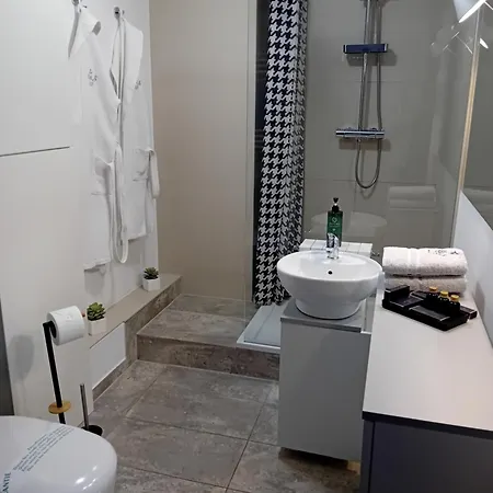 B & S - Free Garage Parking 公寓 什切青