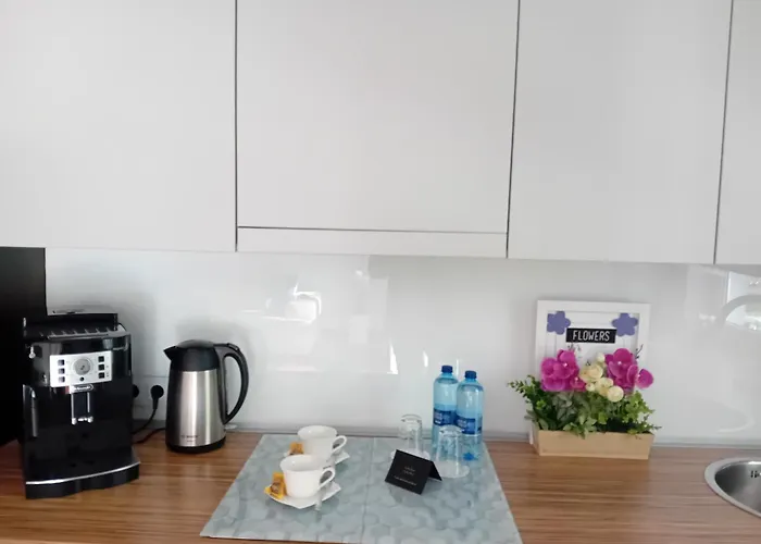 Διαμέρισμα B & S - Free Garage Parking