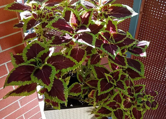 B & S - Free Garage Parking Διαμέρισμα